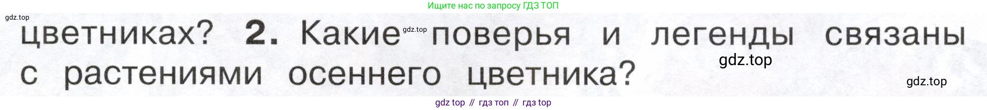 ГДЗ Окружающий мир, 2 класс Учебник, авторы: Плешаков Андрей Анатольевич, Новицкая Марина Юрьевна, издательство Просвещение, Москва, 2023, белого цвета, Часть 1, страница 91, номер 2, Условие
