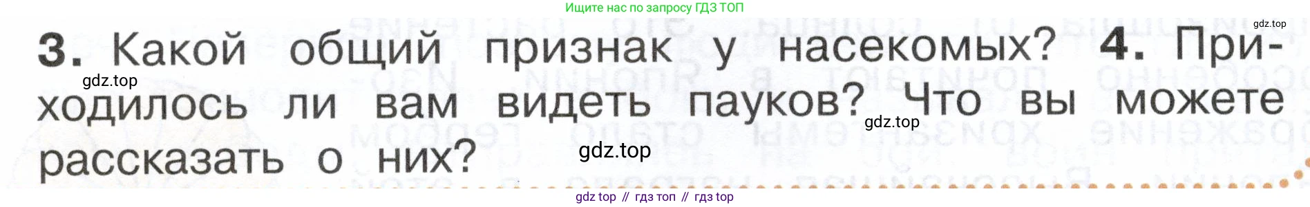 ГДЗ Окружающий мир, 2 класс Учебник, авторы: Плешаков Андрей Анатольевич, Новицкая Марина Юрьевна, издательство Просвещение, Москва, 2023, белого цвета, Часть 1, страница 92, номер 4, Условие