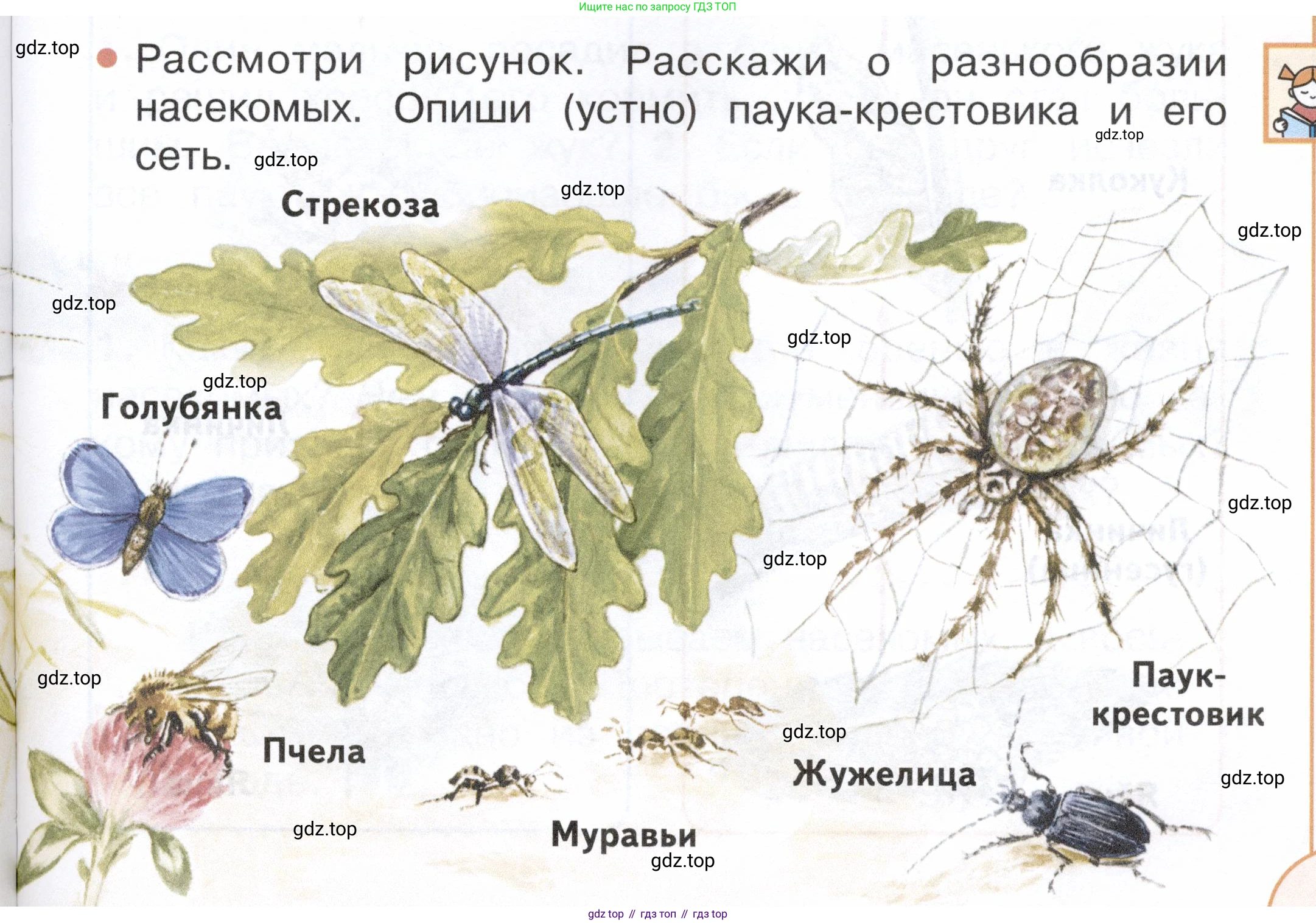ГДЗ Окружающий мир, 2 класс Учебник, авторы: Плешаков Андрей Анатольевич, Новицкая Марина Юрьевна, издательство Просвещение, Москва, 2023, белого цвета, Часть 1, страница 93, номер 1, Условие