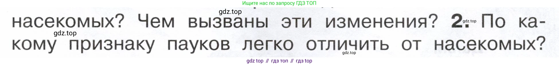 ГДЗ Окружающий мир, 2 класс Учебник, авторы: Плешаков Андрей Анатольевич, Новицкая Марина Юрьевна, издательство Просвещение, Москва, 2023, белого цвета, Часть 1, страница 95, номер 2, Условие