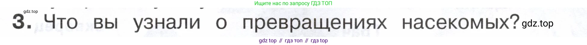 ГДЗ Окружающий мир, 2 класс Учебник, авторы: Плешаков Андрей Анатольевич, Новицкая Марина Юрьевна, издательство Просвещение, Москва, 2023, белого цвета, Часть 1, страница 95, номер 3, Условие