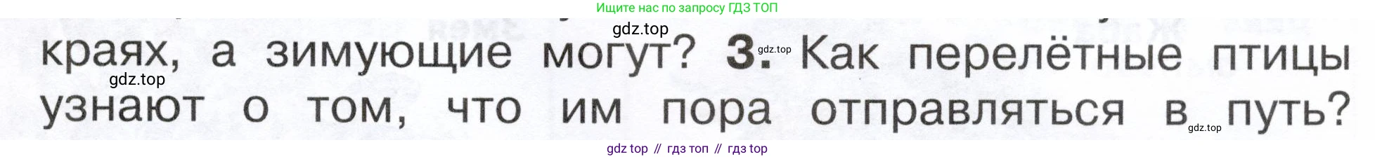 ГДЗ Окружающий мир, 2 класс Учебник, авторы: Плешаков Андрей Анатольевич, Новицкая Марина Юрьевна, издательство Просвещение, Москва, 2023, белого цвета, Часть 1, страница 99, номер 3, Условие