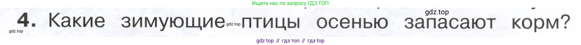 ГДЗ Окружающий мир, 2 класс Учебник, авторы: Плешаков Андрей Анатольевич, Новицкая Марина Юрьевна, издательство Просвещение, Москва, 2023, белого цвета, Часть 1, страница 99, номер 4, Условие
