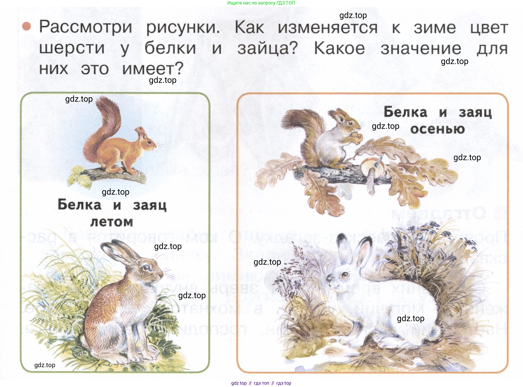 ГДЗ Окружающий мир, 2 класс Учебник, авторы: Плешаков Андрей Анатольевич, Новицкая Марина Юрьевна, издательство Просвещение, Москва, 2023, белого цвета, Часть 1, страница 101, номер 1, Условие