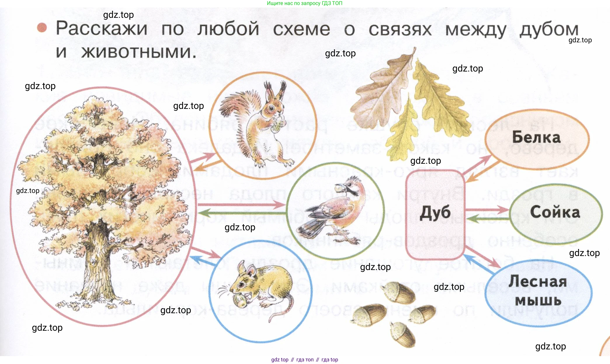 ГДЗ Окружающий мир, 2 класс Учебник, авторы: Плешаков Андрей Анатольевич, Новицкая Марина Юрьевна, издательство Просвещение, Москва, 2023, белого цвета, Часть 1, страница 105, номер 2, Условие