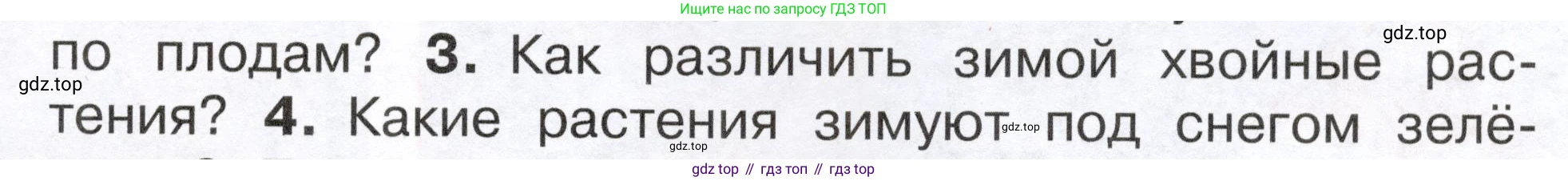 ГДЗ Окружающий мир, 2 класс Учебник, авторы: Плешаков Андрей Анатольевич, Новицкая Марина Юрьевна, издательство Просвещение, Москва, 2023, белого цвета, Часть 2, страница 23, номер 3, Условие