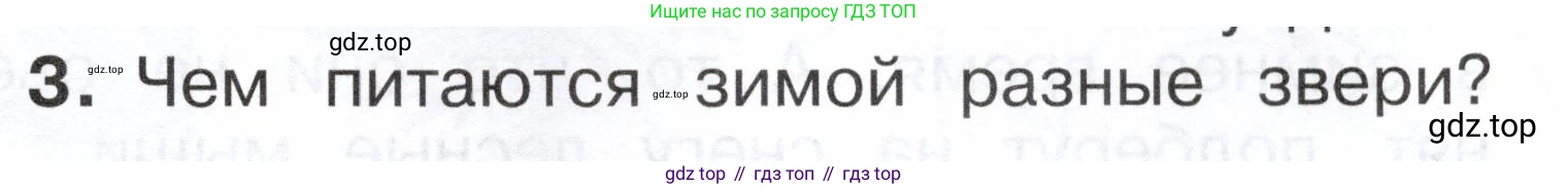 ГДЗ Окружающий мир, 2 класс Учебник, авторы: Плешаков Андрей Анатольевич, Новицкая Марина Юрьевна, издательство Просвещение, Москва, 2023, белого цвета, Часть 2, страница 31, номер 3, Условие