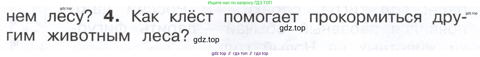 ГДЗ Окружающий мир, 2 класс Учебник, авторы: Плешаков Андрей Анатольевич, Новицкая Марина Юрьевна, издательство Просвещение, Москва, 2023, белого цвета, Часть 2, страница 35, номер 4, Условие