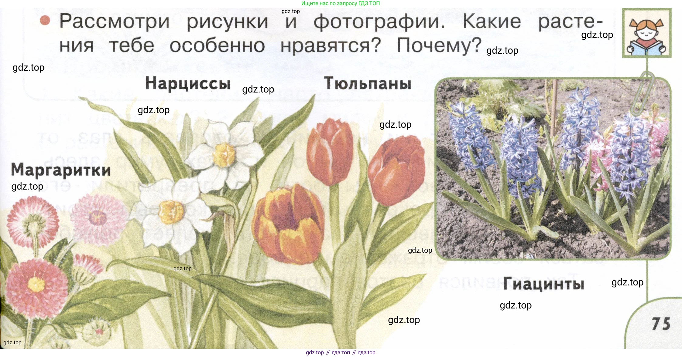 ГДЗ Окружающий мир, 2 класс Учебник, авторы: Плешаков Андрей Анатольевич, Новицкая Марина Юрьевна, издательство Просвещение, Москва, 2023, белого цвета, Часть 2, страница 75, номер 1, Условие