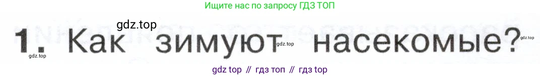 ГДЗ Окружающий мир, 2 класс Учебник, авторы: Плешаков Андрей Анатольевич, Новицкая Марина Юрьевна, издательство Просвещение, Москва, 2023, белого цвета, Часть 2, страница 78, номер 1, Условие