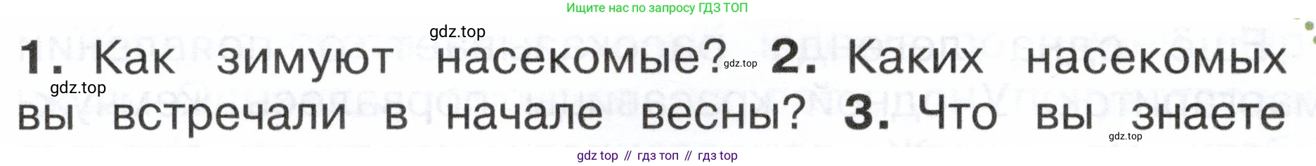 ГДЗ Окружающий мир, 2 класс Учебник, авторы: Плешаков Андрей Анатольевич, Новицкая Марина Юрьевна, издательство Просвещение, Москва, 2023, белого цвета, Часть 2, страница 78, номер 2, Условие