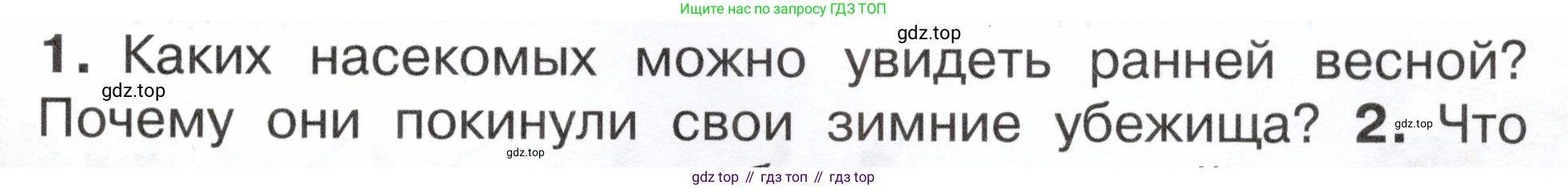ГДЗ Окружающий мир, 2 класс Учебник, авторы: Плешаков Андрей Анатольевич, Новицкая Марина Юрьевна, издательство Просвещение, Москва, 2023, белого цвета, Часть 2, страница 81, номер 1, Условие