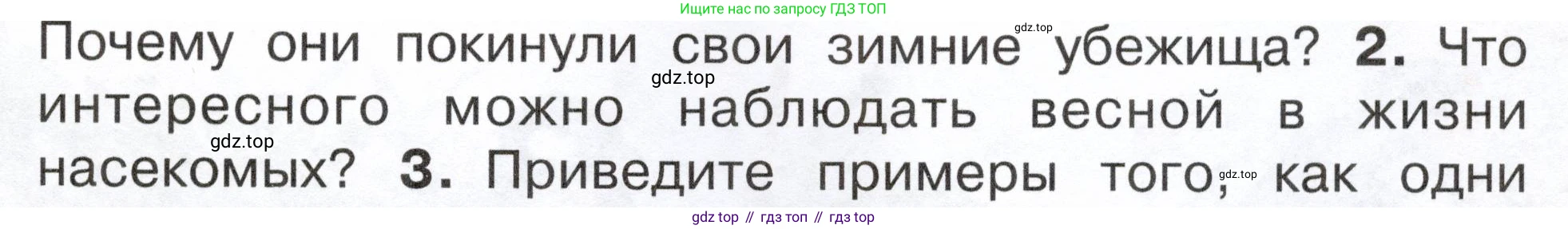 ГДЗ Окружающий мир, 2 класс Учебник, авторы: Плешаков Андрей Анатольевич, Новицкая Марина Юрьевна, издательство Просвещение, Москва, 2023, белого цвета, Часть 2, страница 81, номер 2, Условие