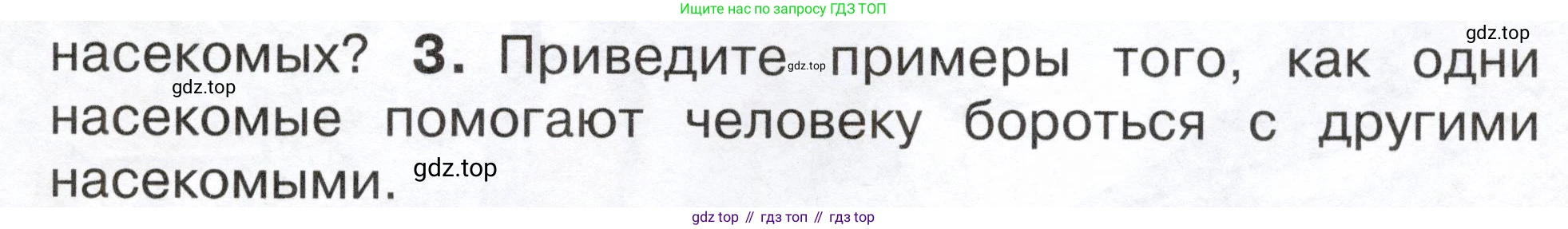 ГДЗ Окружающий мир, 2 класс Учебник, авторы: Плешаков Андрей Анатольевич, Новицкая Марина Юрьевна, издательство Просвещение, Москва, 2023, белого цвета, Часть 2, страница 81, номер 3, Условие