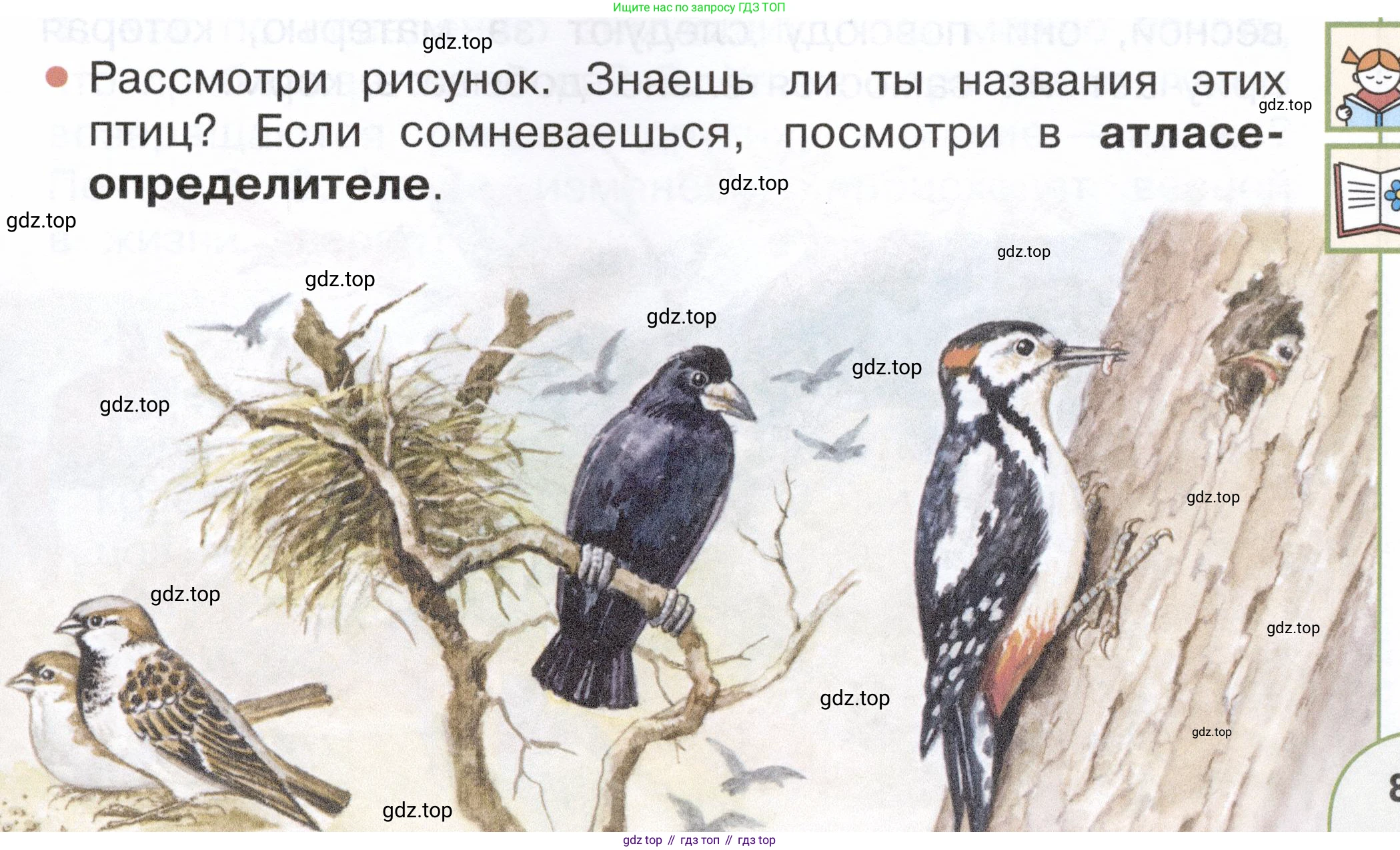 ГДЗ Окружающий мир, 2 класс Учебник, авторы: Плешаков Андрей Анатольевич, Новицкая Марина Юрьевна, издательство Просвещение, Москва, 2023, белого цвета, Часть 2, страница 83, Условие