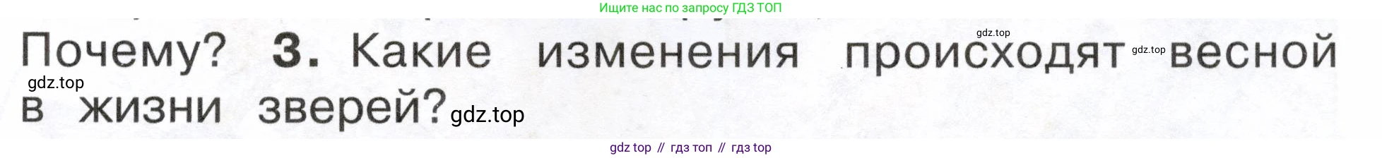 ГДЗ Окружающий мир, 2 класс Учебник, авторы: Плешаков Андрей Анатольевич, Новицкая Марина Юрьевна, издательство Просвещение, Москва, 2023, белого цвета, Часть 2, страница 85, номер 3, Условие