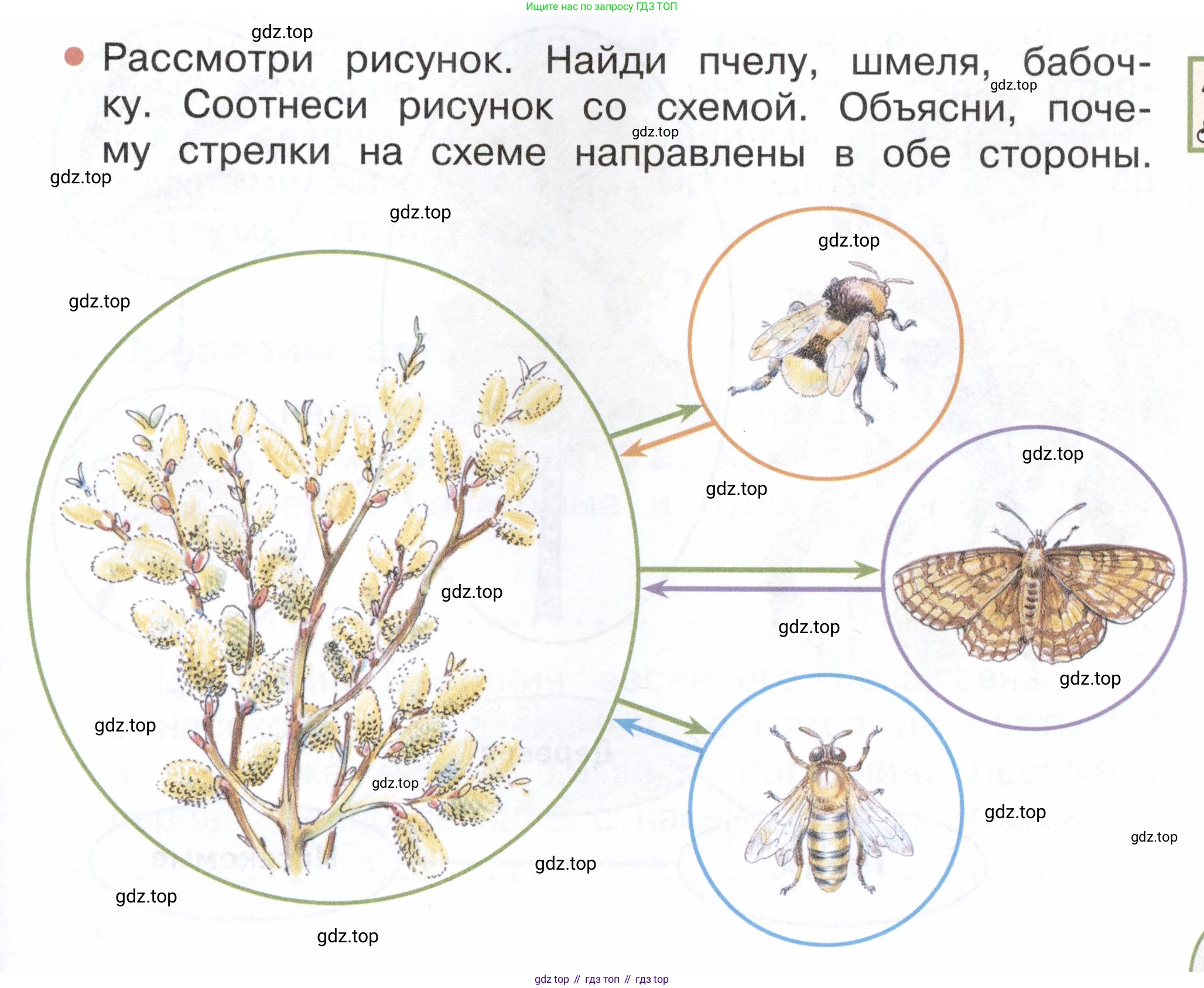 ГДЗ Окружающий мир, 2 класс Учебник, авторы: Плешаков Андрей Анатольевич, Новицкая Марина Юрьевна, издательство Просвещение, Москва, 2023, белого цвета, Часть 2, страница 87, номер 1, Условие