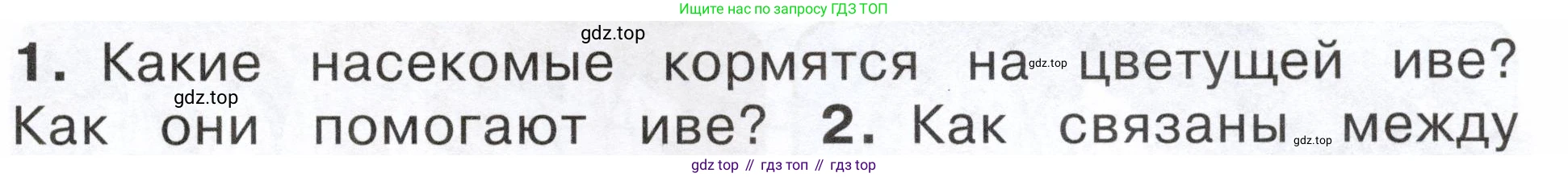 ГДЗ Окружающий мир, 2 класс Учебник, авторы: Плешаков Андрей Анатольевич, Новицкая Марина Юрьевна, издательство Просвещение, Москва, 2023, белого цвета, Часть 2, страница 89, номер 1, Условие