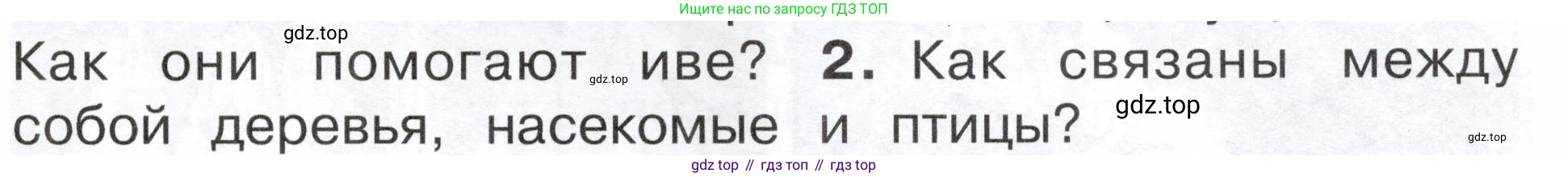 ГДЗ Окружающий мир, 2 класс Учебник, авторы: Плешаков Андрей Анатольевич, Новицкая Марина Юрьевна, издательство Просвещение, Москва, 2023, белого цвета, Часть 2, страница 89, номер 2, Условие