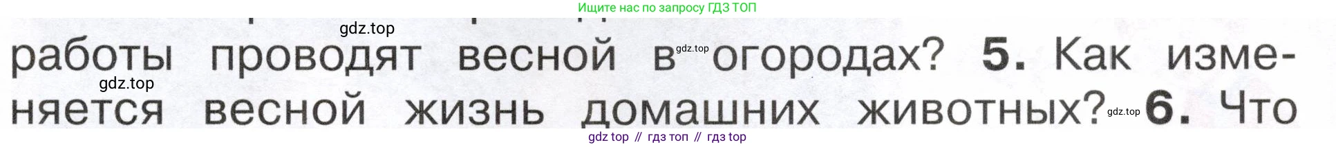 ГДЗ Окружающий мир, 2 класс Учебник, авторы: Плешаков Андрей Анатольевич, Новицкая Марина Юрьевна, издательство Просвещение, Москва, 2023, белого цвета, Часть 2, страница 93, номер 5, Условие