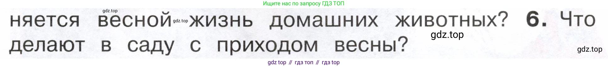 ГДЗ Окружающий мир, 2 класс Учебник, авторы: Плешаков Андрей Анатольевич, Новицкая Марина Юрьевна, издательство Просвещение, Москва, 2023, белого цвета, Часть 2, страница 93, номер 6, Условие