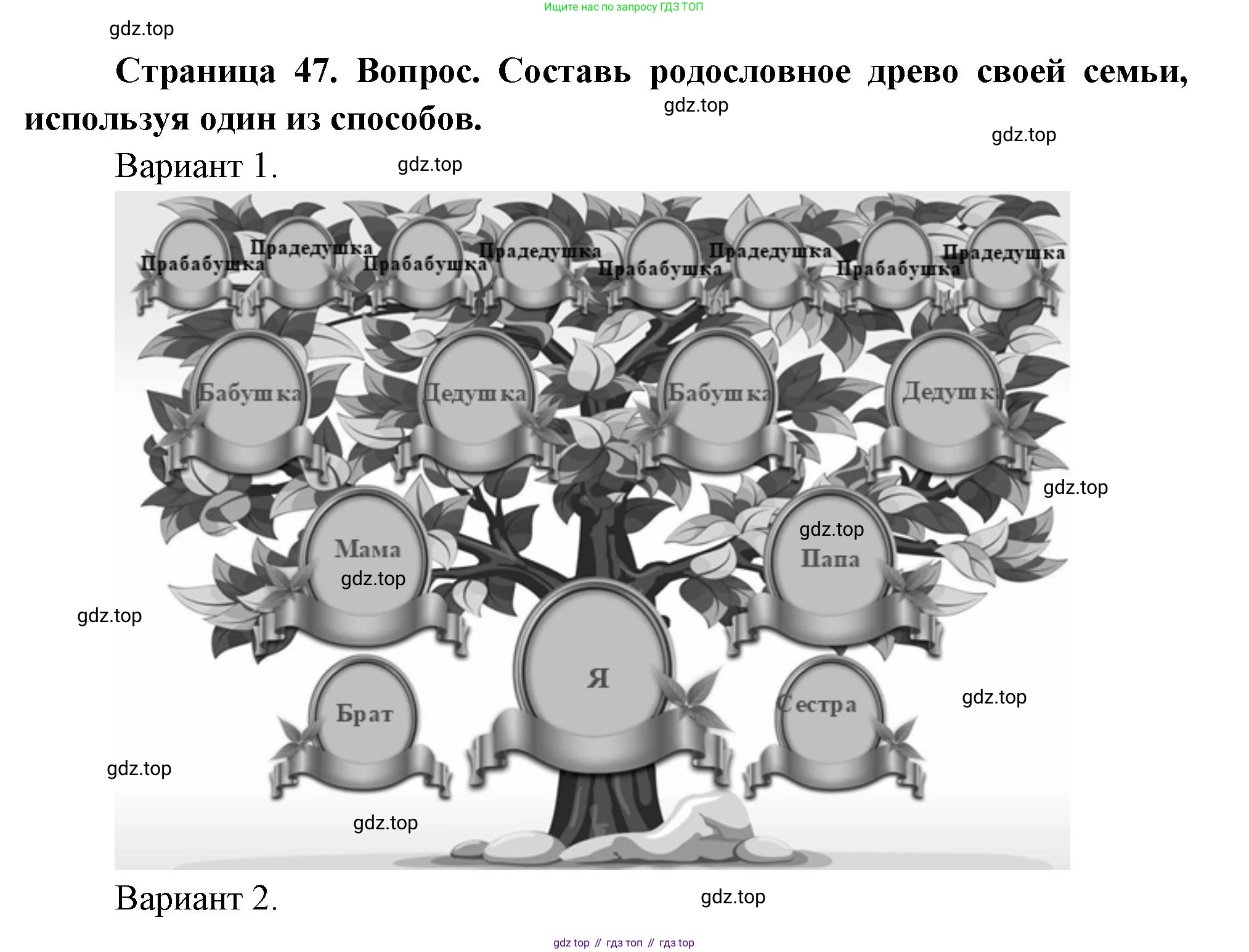 ГДЗ Окружающий мир, 2 класс Учебник, авторы: Плешаков Андрей Анатольевич, Новицкая Марина Юрьевна, издательство Просвещение, Москва, 2023, белого цвета, Часть 1, страница 49, номер 3, Решение