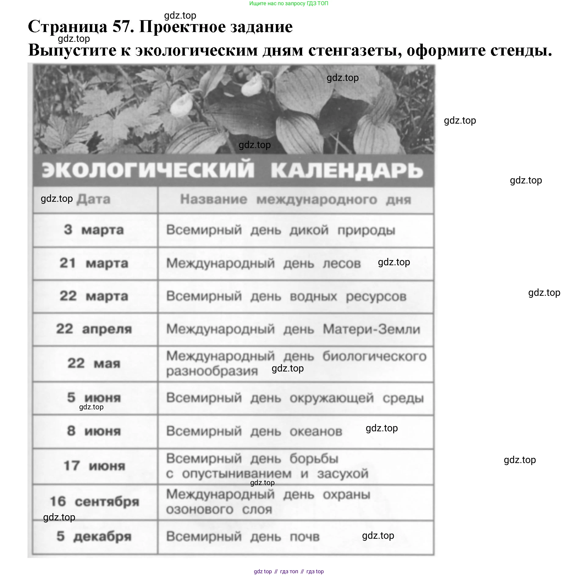ГДЗ Окружающий мир, 2 класс Учебник, авторы: Плешаков Андрей Анатольевич, Новицкая Марина Юрьевна, издательство Просвещение, Москва, 2023, белого цвета, Часть 1, страница 57, номер 3, Решение