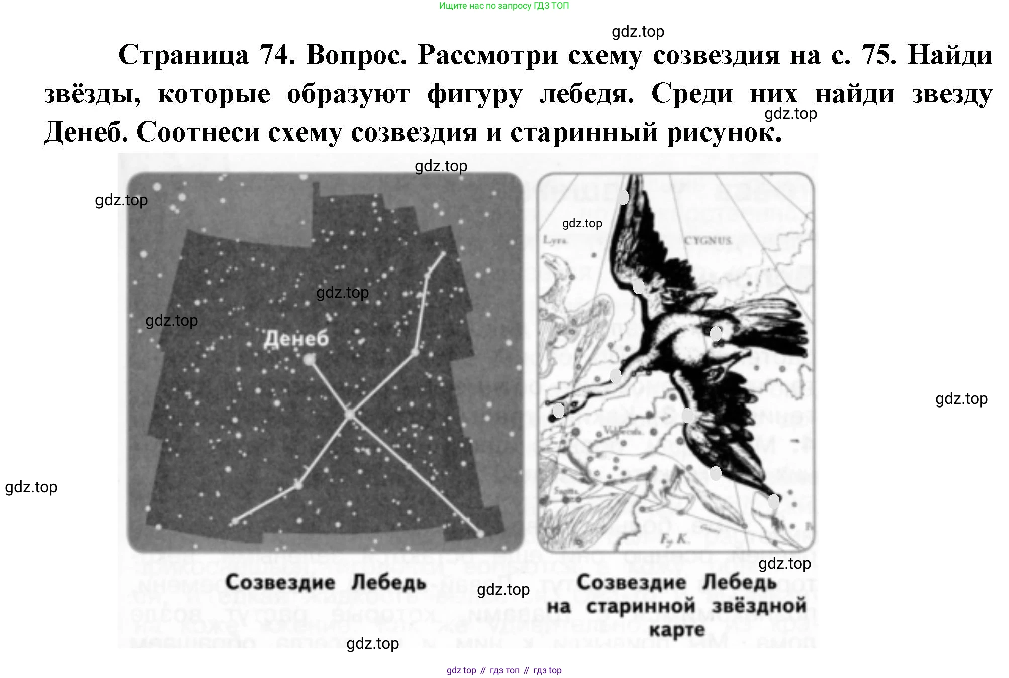 ГДЗ Окружающий мир, 2 класс Учебник, авторы: Плешаков Андрей Анатольевич, Новицкая Марина Юрьевна, издательство Просвещение, Москва, 2023, белого цвета, Часть 1, страница 74, номер 3, Решение
