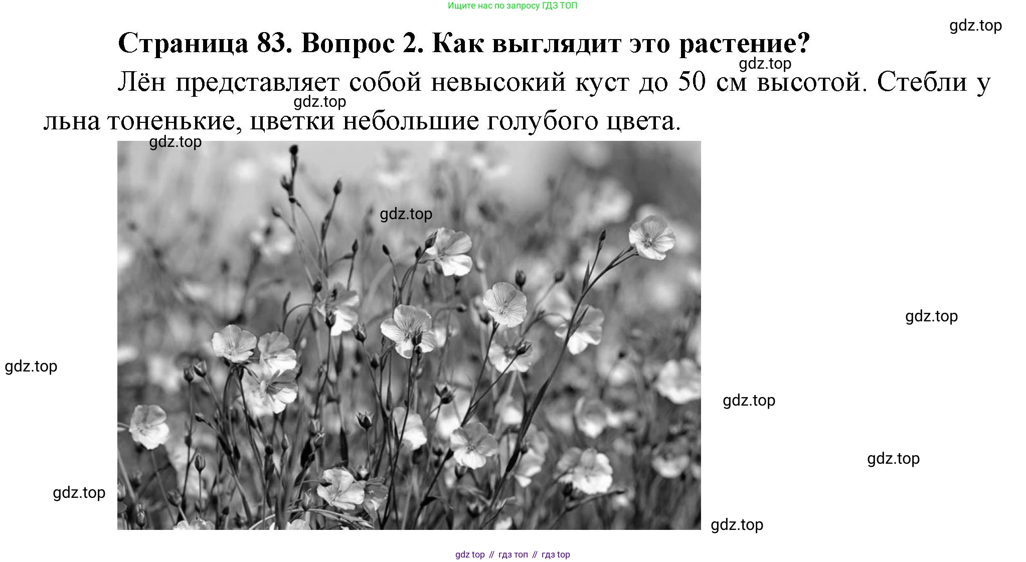 ГДЗ Окружающий мир, 2 класс Учебник, авторы: Плешаков Андрей Анатольевич, Новицкая Марина Юрьевна, издательство Просвещение, Москва, 2023, белого цвета, Часть 1, страница 83, номер 2, Решение