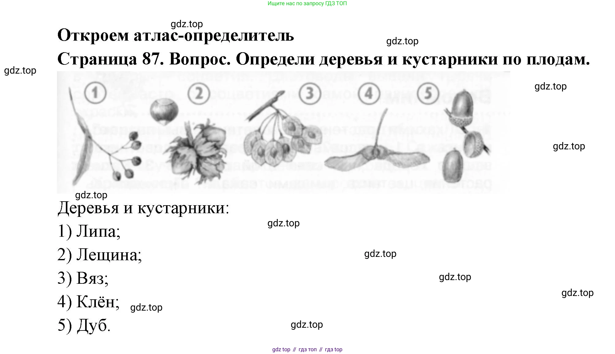 ГДЗ Окружающий мир, 2 класс Учебник, авторы: Плешаков Андрей Анатольевич, Новицкая Марина Юрьевна, издательство Просвещение, Москва, 2023, белого цвета, Часть 1, страница 87, Решение