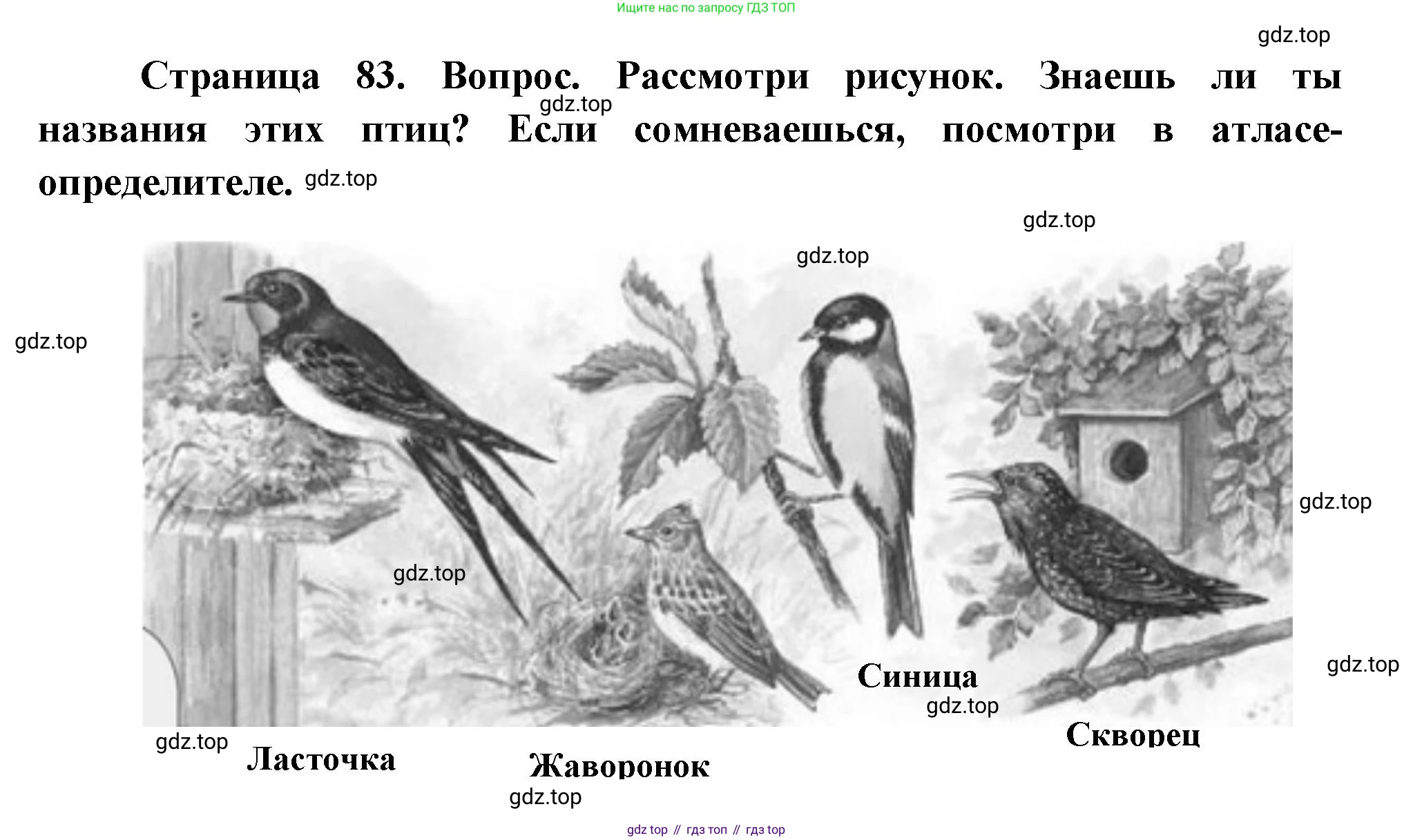 ГДЗ Окружающий мир, 2 класс Учебник, авторы: Плешаков Андрей Анатольевич, Новицкая Марина Юрьевна, издательство Просвещение, Москва, 2023, белого цвета, Часть 2, страница 83, Решение
