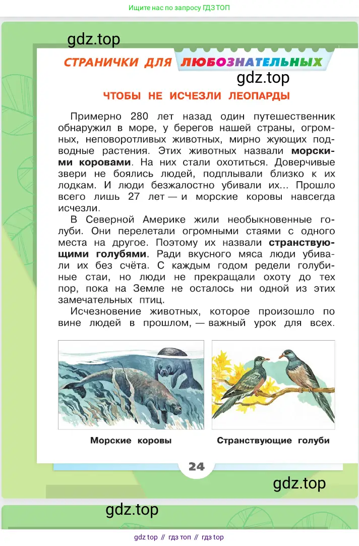 Окружающий мир, 2 класс Учебник, автор: Плешаков Андрей Анатольевич, издательство Просвещение, Москва, 2023, белого цвета, Часть 2, страница 24
