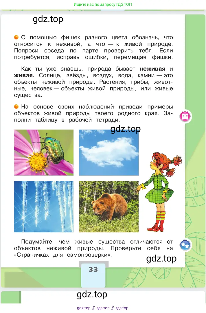 Окружающий мир, 2 класс Учебник, автор: Плешаков Андрей Анатольевич, издательство Просвещение, Москва, 2023, белого цвета, страница 33