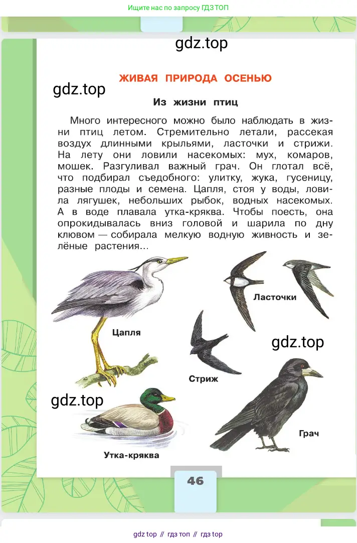 Окружающий мир, 2 класс Учебник, автор: Плешаков Андрей Анатольевич, издательство Просвещение, Москва, 2023, белого цвета, Часть 2, страница 46