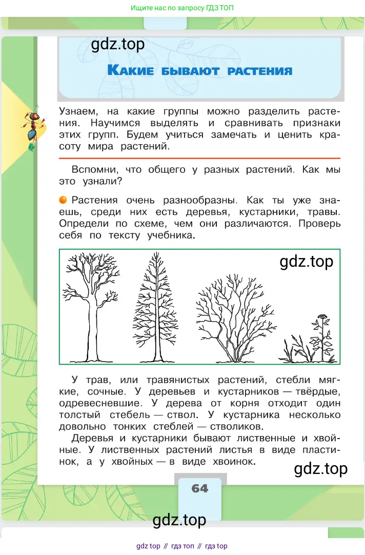 Окружающий мир, 2 класс Учебник, автор: Плешаков Андрей Анатольевич, издательство Просвещение, Москва, 2023, белого цвета, Часть 1, страница 64