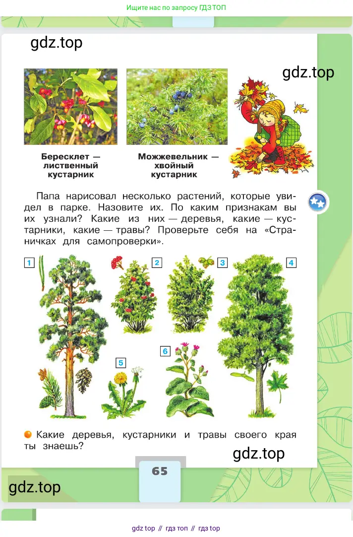 Окружающий мир, 2 класс Учебник, автор: Плешаков Андрей Анатольевич, издательство Просвещение, Москва, 2023, белого цвета, страница 65