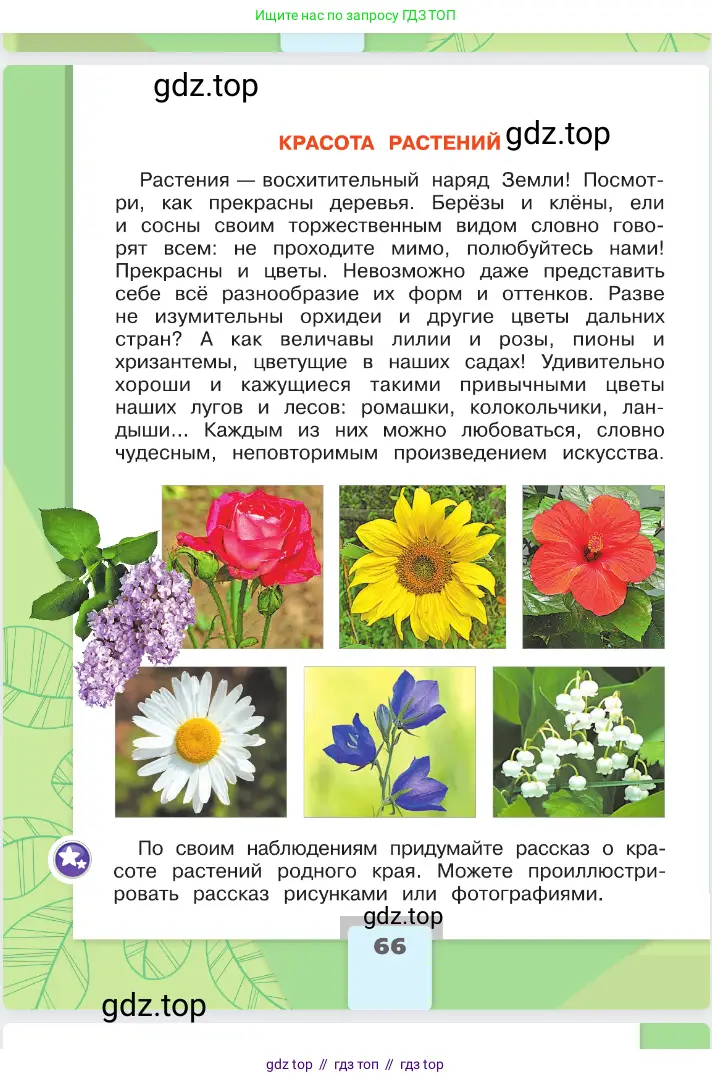 Окружающий мир, 2 класс Учебник, автор: Плешаков Андрей Анатольевич, издательство Просвещение, Москва, 2023, белого цвета, страница 66