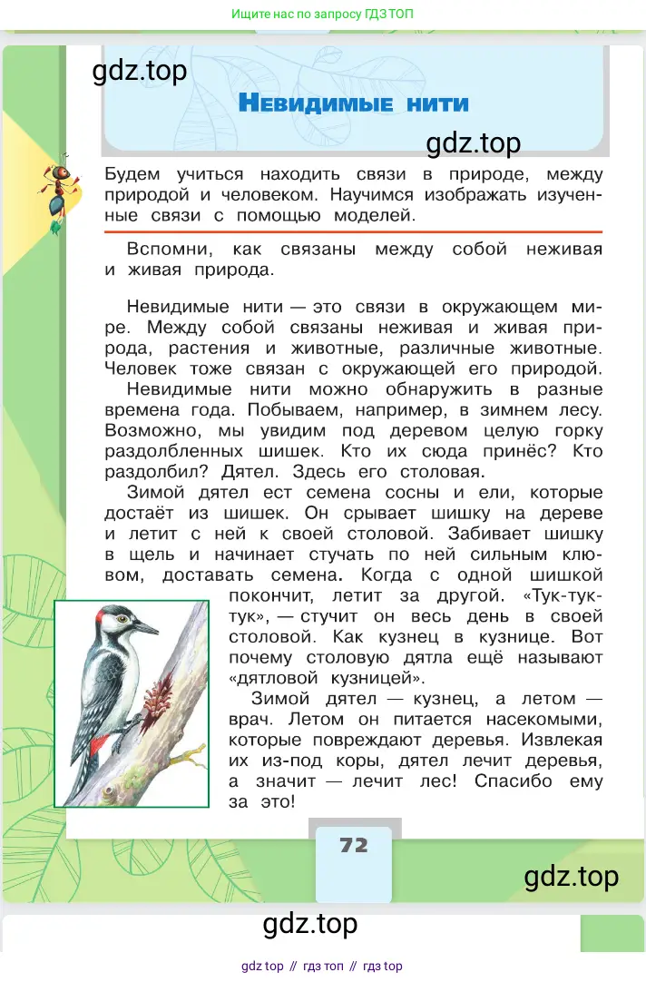 Окружающий мир, 2 класс Учебник, автор: Плешаков Андрей Анатольевич, издательство Просвещение, Москва, 2023, белого цвета, Часть 1, страница 72