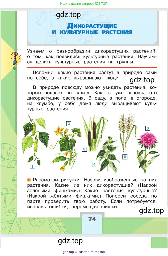 Окружающий мир, 2 класс Учебник, автор: Плешаков Андрей Анатольевич, издательство Просвещение, Москва, 2023, белого цвета, Часть 1, страница 74