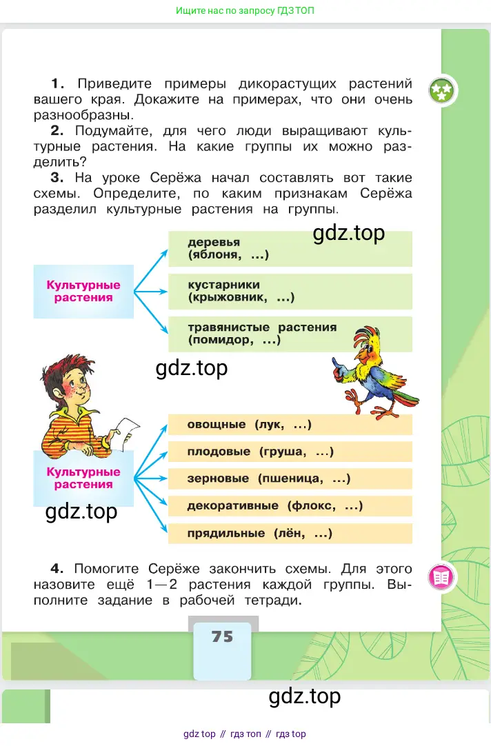 Окружающий мир, 2 класс Учебник, автор: Плешаков Андрей Анатольевич, издательство Просвещение, Москва, 2023, белого цвета, страница 75
