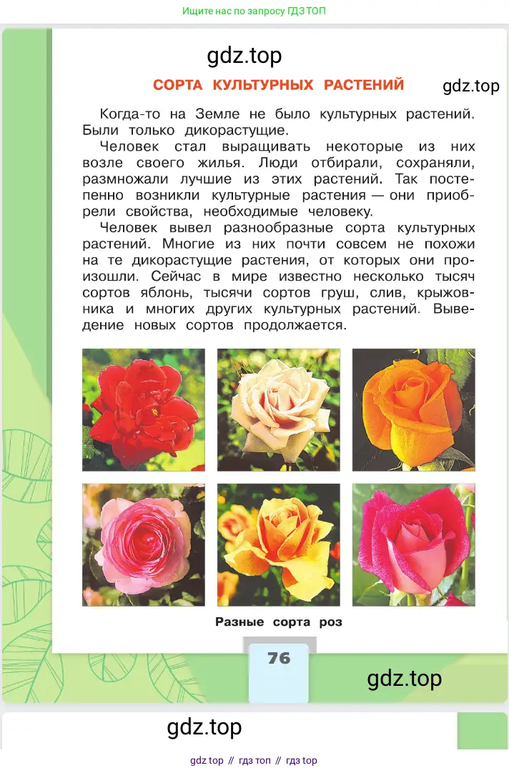 Окружающий мир, 2 класс Учебник, автор: Плешаков Андрей Анатольевич, издательство Просвещение, Москва, 2023, белого цвета, страница 76