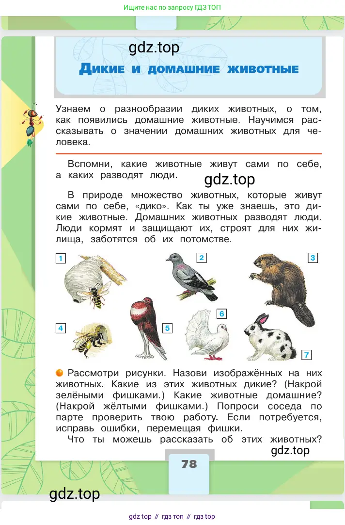 Окружающий мир, 2 класс Учебник, автор: Плешаков Андрей Анатольевич, издательство Просвещение, Москва, 2023, белого цвета, Часть 1, страница 78