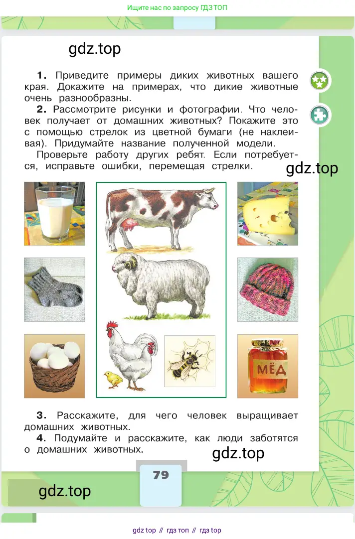 Окружающий мир, 2 класс Учебник, автор: Плешаков Андрей Анатольевич, издательство Просвещение, Москва, 2023, белого цвета, страница 79