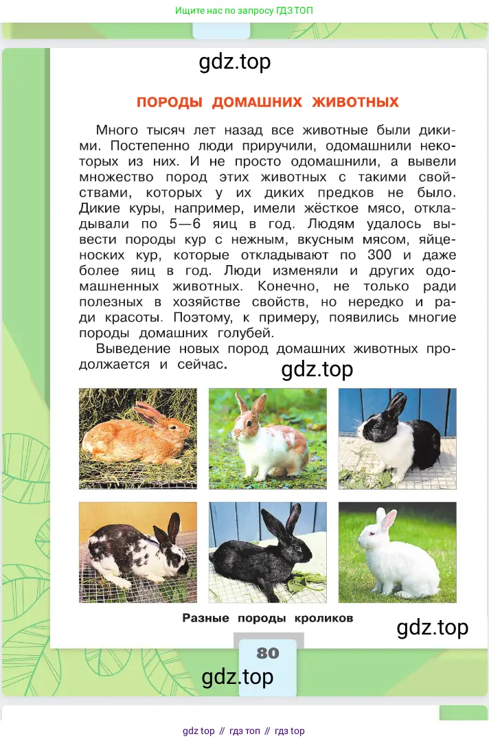 Окружающий мир, 2 класс Учебник, автор: Плешаков Андрей Анатольевич, издательство Просвещение, Москва, 2023, белого цвета, страница 80