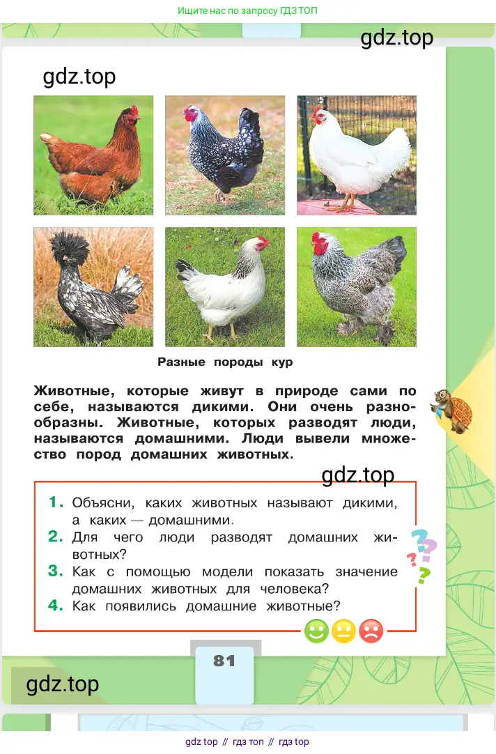Окружающий мир, 2 класс Учебник, автор: Плешаков Андрей Анатольевич, издательство Просвещение, Москва, 2023, белого цвета, страница 81