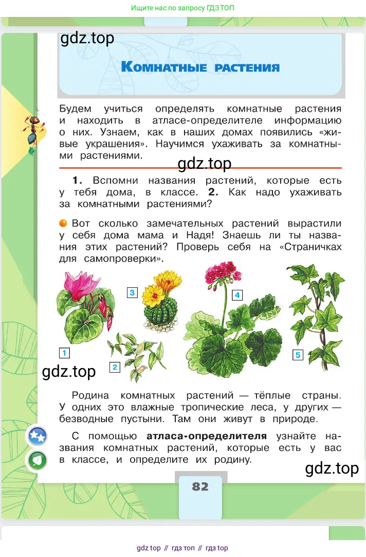 Окружающий мир, 2 класс Учебник, автор: Плешаков Андрей Анатольевич, издательство Просвещение, Москва, 2023, белого цвета, Часть 1, страница 82