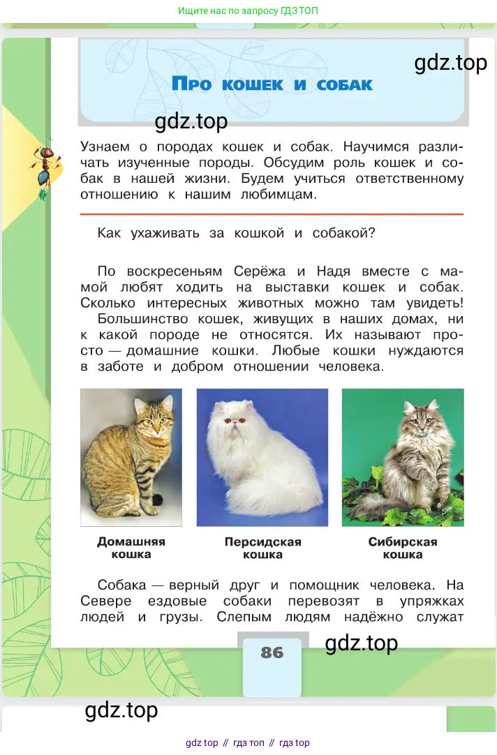 Окружающий мир, 2 класс Учебник, автор: Плешаков Андрей Анатольевич, издательство Просвещение, Москва, 2023, белого цвета, Часть 1, страница 86