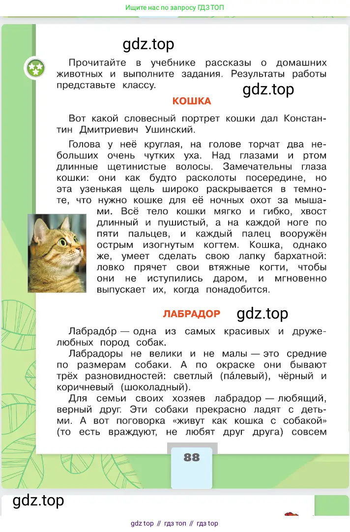 Окружающий мир, 2 класс Учебник, автор: Плешаков Андрей Анатольевич, издательство Просвещение, Москва, 2023, белого цвета, страница 88