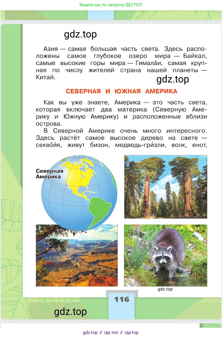 Окружающий мир, 2 класс Учебник, автор: Плешаков Андрей Анатольевич, издательство Просвещение, Москва, 2023, белого цвета, Часть 1, страница 116