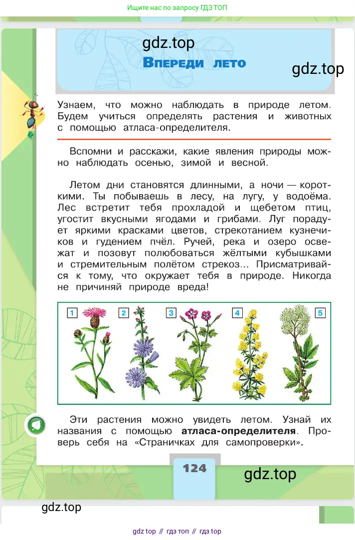 Окружающий мир, 2 класс Учебник, автор: Плешаков Андрей Анатольевич, издательство Просвещение, Москва, 2023, белого цвета, Часть 2, страница 124